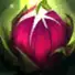 Zyra W Skill